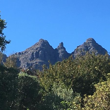 Longfield House Villa Stellenbosch Dış mekan fotoğraf