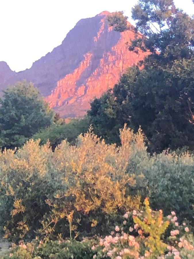 Longfield House Villa Stellenbosch Dış mekan fotoğraf
