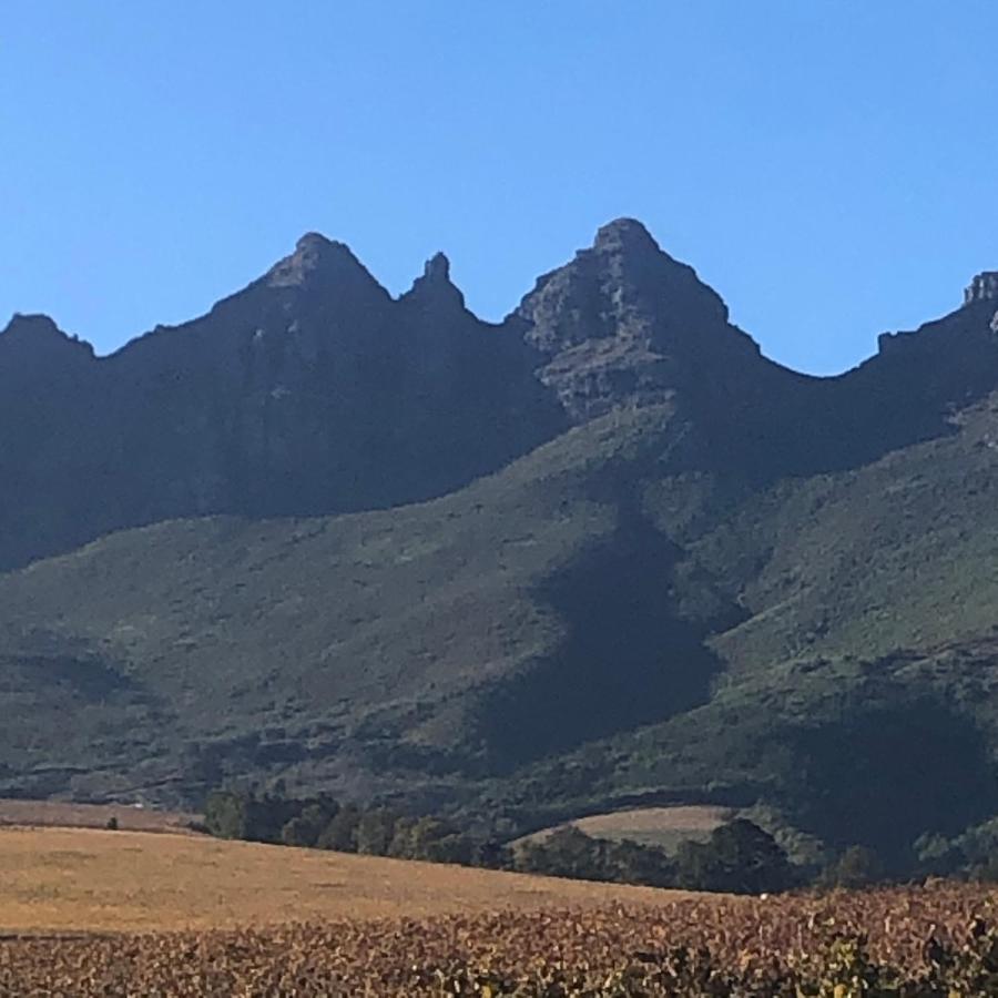 Longfield House Villa Stellenbosch Dış mekan fotoğraf