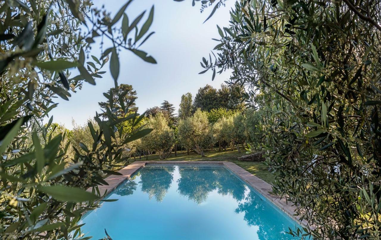 Longfield House Villa Stellenbosch Dış mekan fotoğraf
