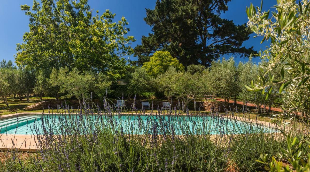 Longfield House Villa Stellenbosch Dış mekan fotoğraf