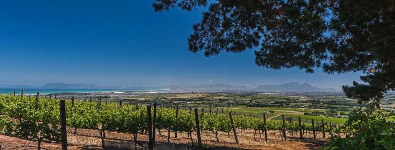 Longfield House Villa Stellenbosch Dış mekan fotoğraf