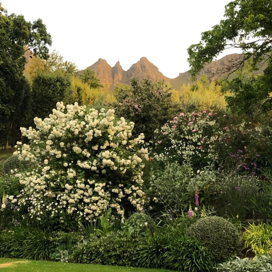Longfield House Villa Stellenbosch Dış mekan fotoğraf