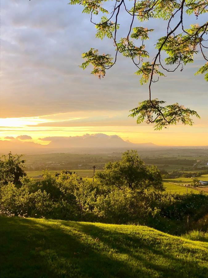 Longfield House Villa Stellenbosch Dış mekan fotoğraf